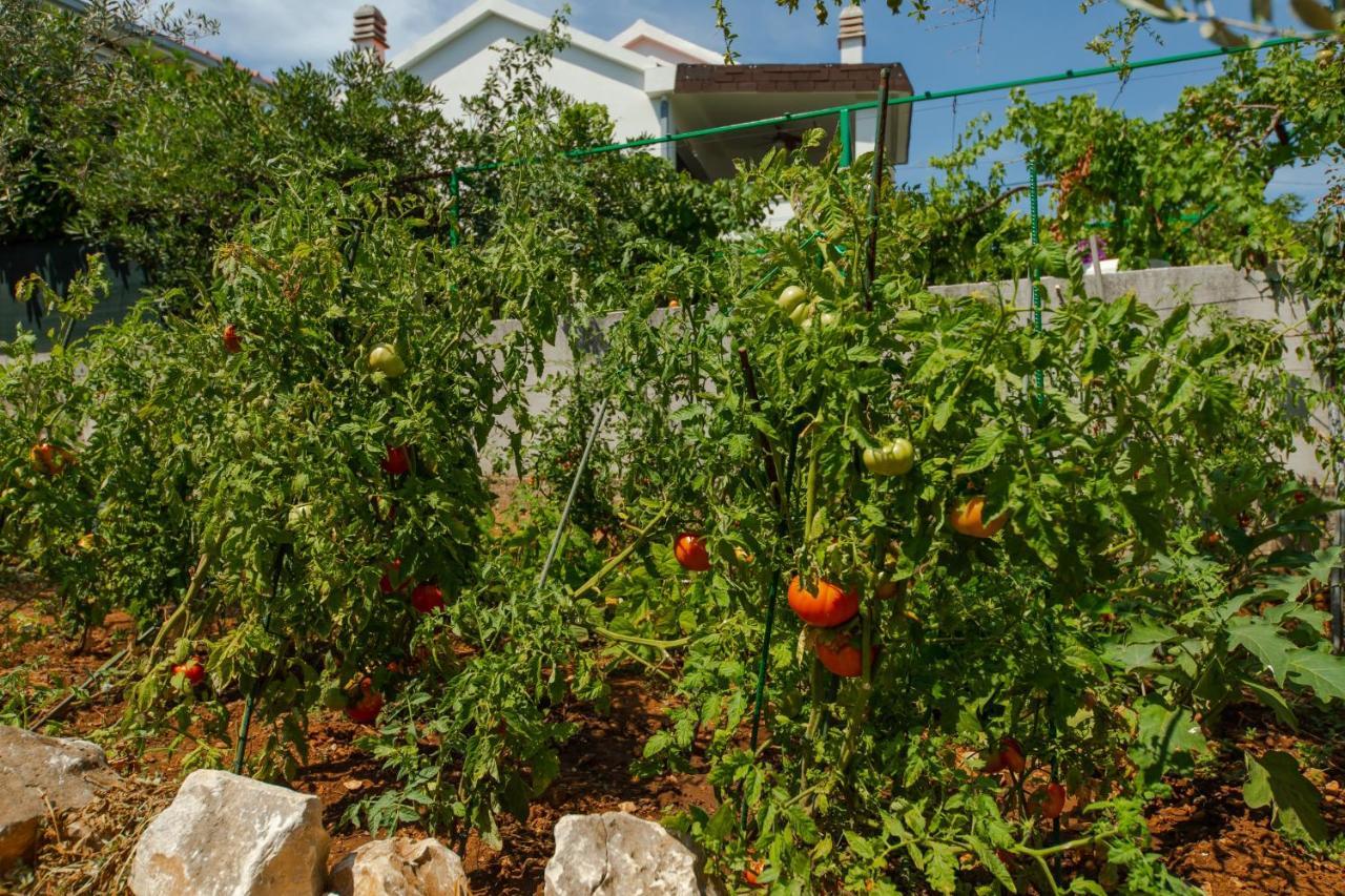 Apartments Danica Τρογκίρ Εξωτερικό φωτογραφία